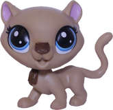 #2-S6 Cheetah "Fancie Cheetah"