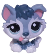 #2036 Husky Puppy