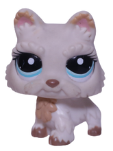 #2059 Scottish Terrier