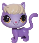 #224 Cat "Delilah Barnsley"