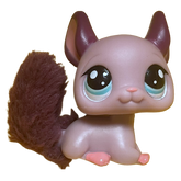 #2415 Chinchilla