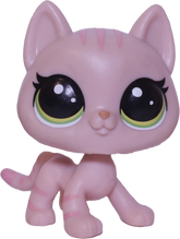 #252 Shorthair Cat "Hula Hibiscus"