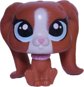 #282 Mini Puppy "Harmony van Hatsen"