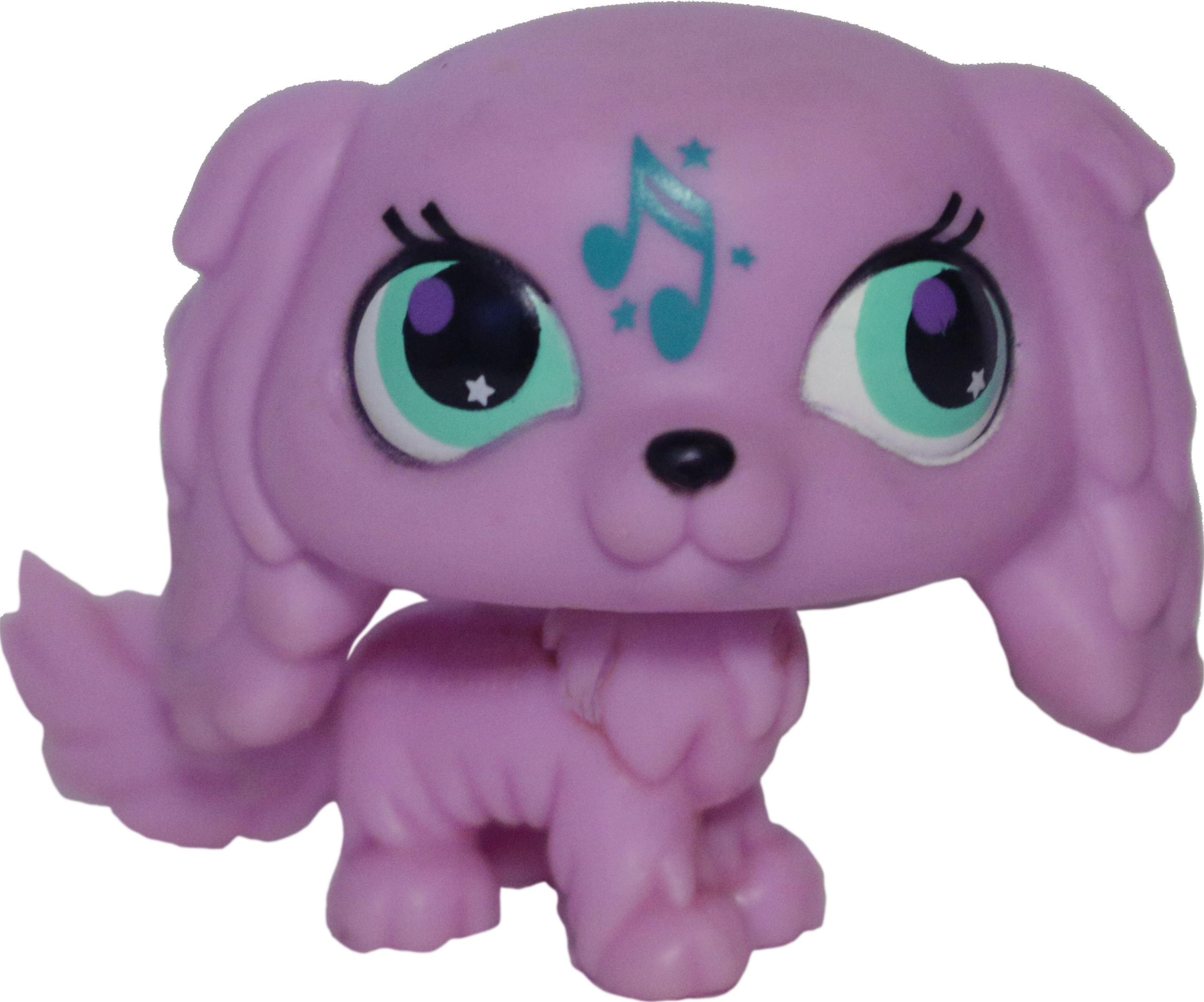 Lps king charles 2024 spaniel