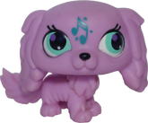 #2880 King Charles Spaniel