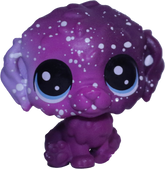 #3-1 Mini Puppy "Romulus Waterpup"