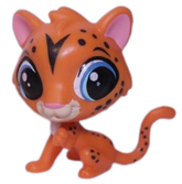 #3886 Leopard "Chad Chalmers"