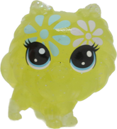 #4-118 Mini Pomeranian