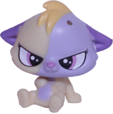 #50 Mini Kitten "Frowny Fluffball"