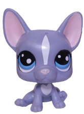 #62 French Bulldog "Buster Brindle"