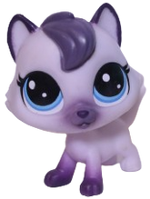 #66 Persian Cat "Birma Bluepoint"