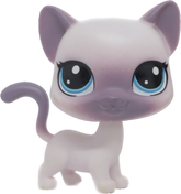 #70 Siamese Cat "Plumella Crowne"