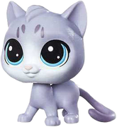 #73 Cat "North Felino"