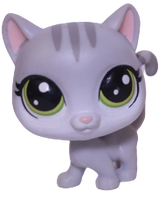 #74 Cat "Tabsy Felino"