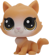 #78 Cat "Pouncy Sipton"