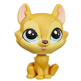 #81 Shiba Inu "Hansamu Inu"