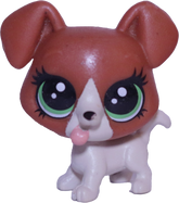 #83 Mini Puppy "Buster Boodles"