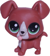 #88 Mini Puppy "Danely Kingman"