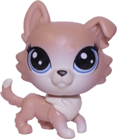 #94 Shiba Inu "Freesia Fuzzyface"