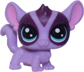 No # Mini Sugar Glider