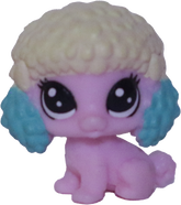 No # Teensy Poodle "Tornado Tom"