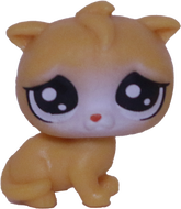 No # Teensy Kitten "Salty Sea"