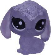 No # Teensy Lop Bunny