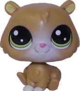 No # Hamster "Buttons"