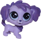 #201 Labradoodle "Petey Plumford"