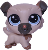 #120 Wheaton Terrier "Elvy Wheaten"