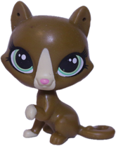 #146 Cat "Begonia Gatto"