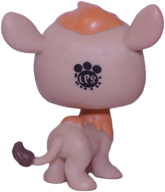 #199 Camel "Garbanzo Hillville"