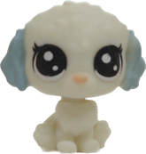 No # Teensy Maltese "Babbling Brook"