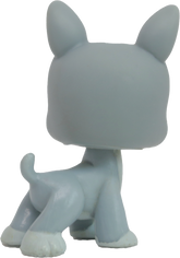 #0857 Boston Terrier