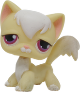 #0364 Angora Longhair Cat