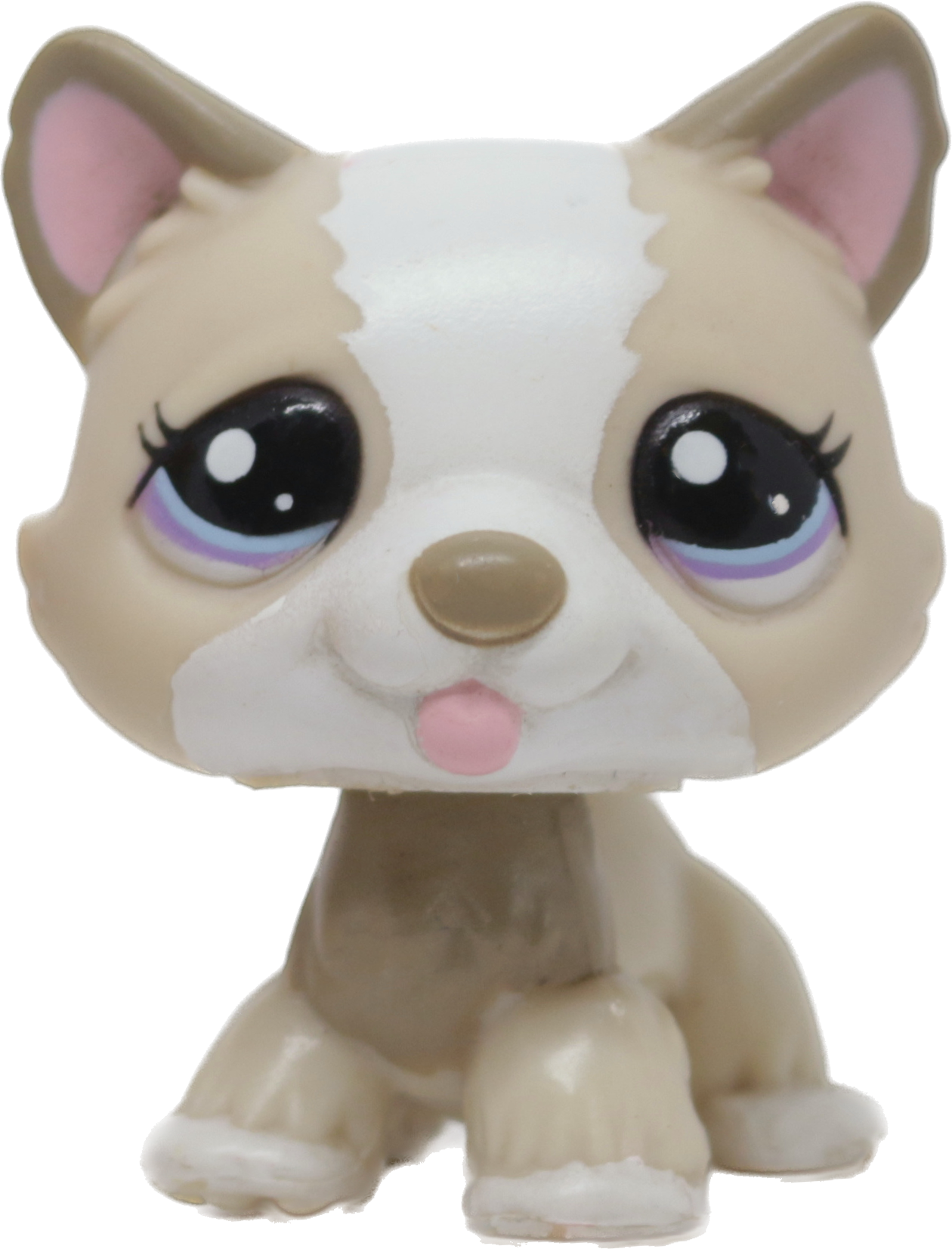 LPS #1817 Husky 🐾 Authentic LPS at Littlest Brainrot