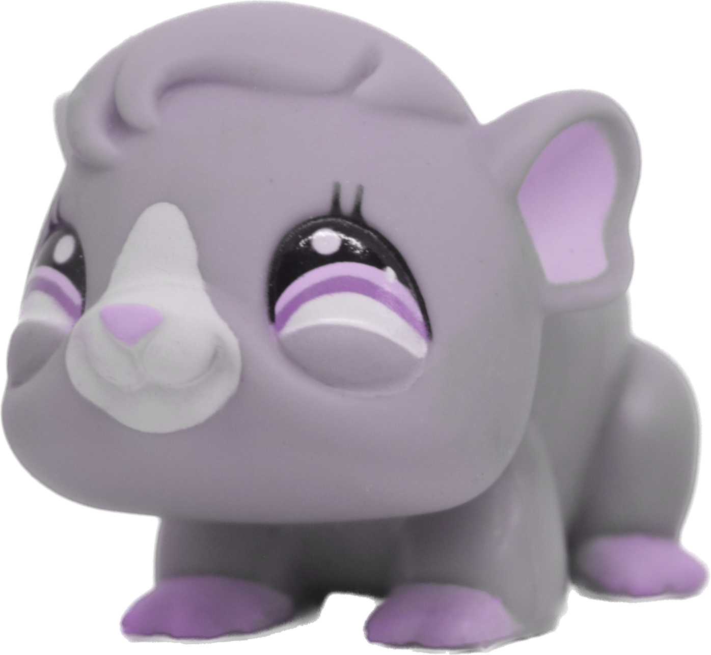 Custom Base: Guinea Pig (Shorthair)