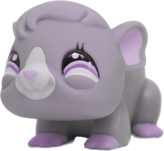 Custom Base: Guinea Pig (Shorthair)