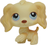 #0091 Cocker Spaniel