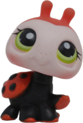#0221 Ladybug