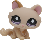 #1444 Crouching Kitten