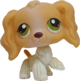 #0079 Cocker Spaniel