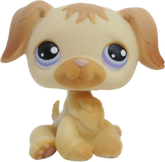 #0286 Golden Retriever