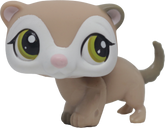 #1573 Ferret