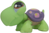 #0302 Turtle