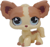 LPS #0765 Chihuahua