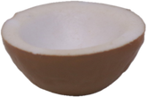 Coconut Bowl