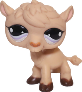 #0997 Camel (Deflocked)