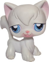 #0009 Angora Longhair Cat