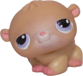 #0054 Hamster